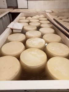 13 forme in salamoia