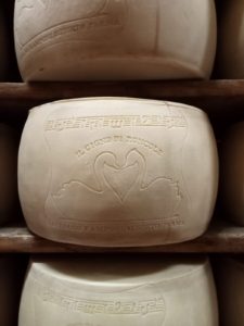 15. cigno di roncole in stagionatura